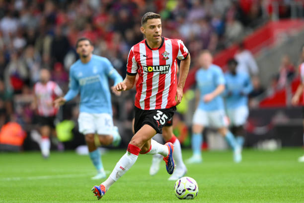 森林狼的晋 森林狼的晋