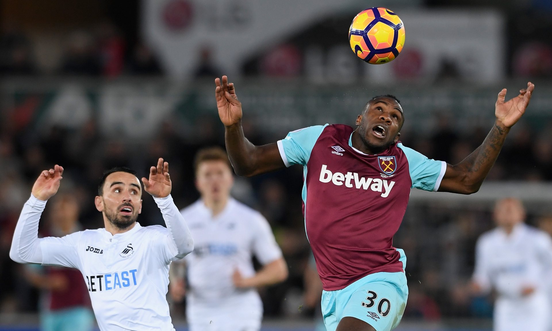 练和球迷的 练和球迷的